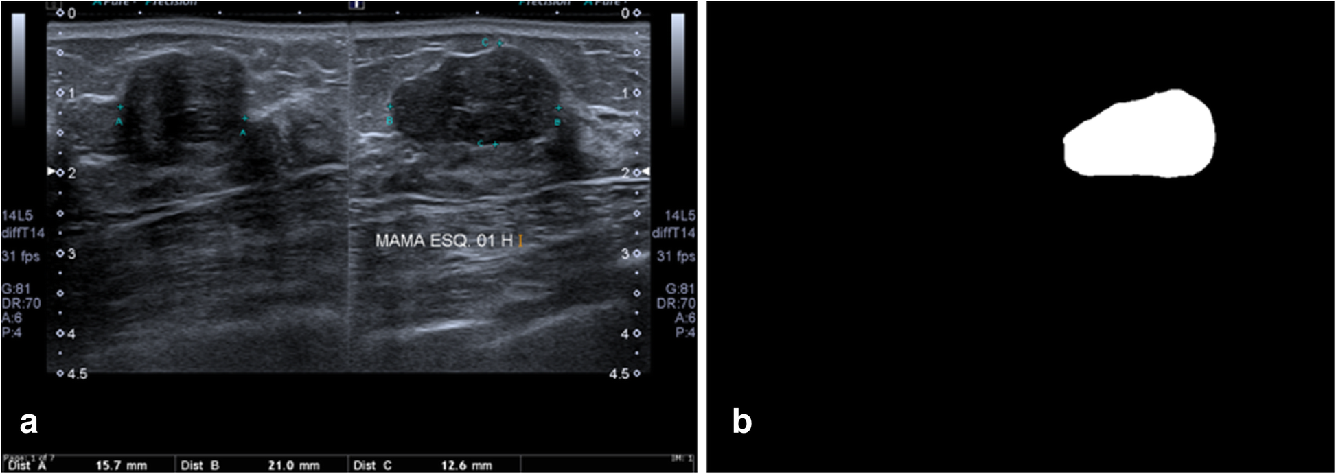 Fig. 4