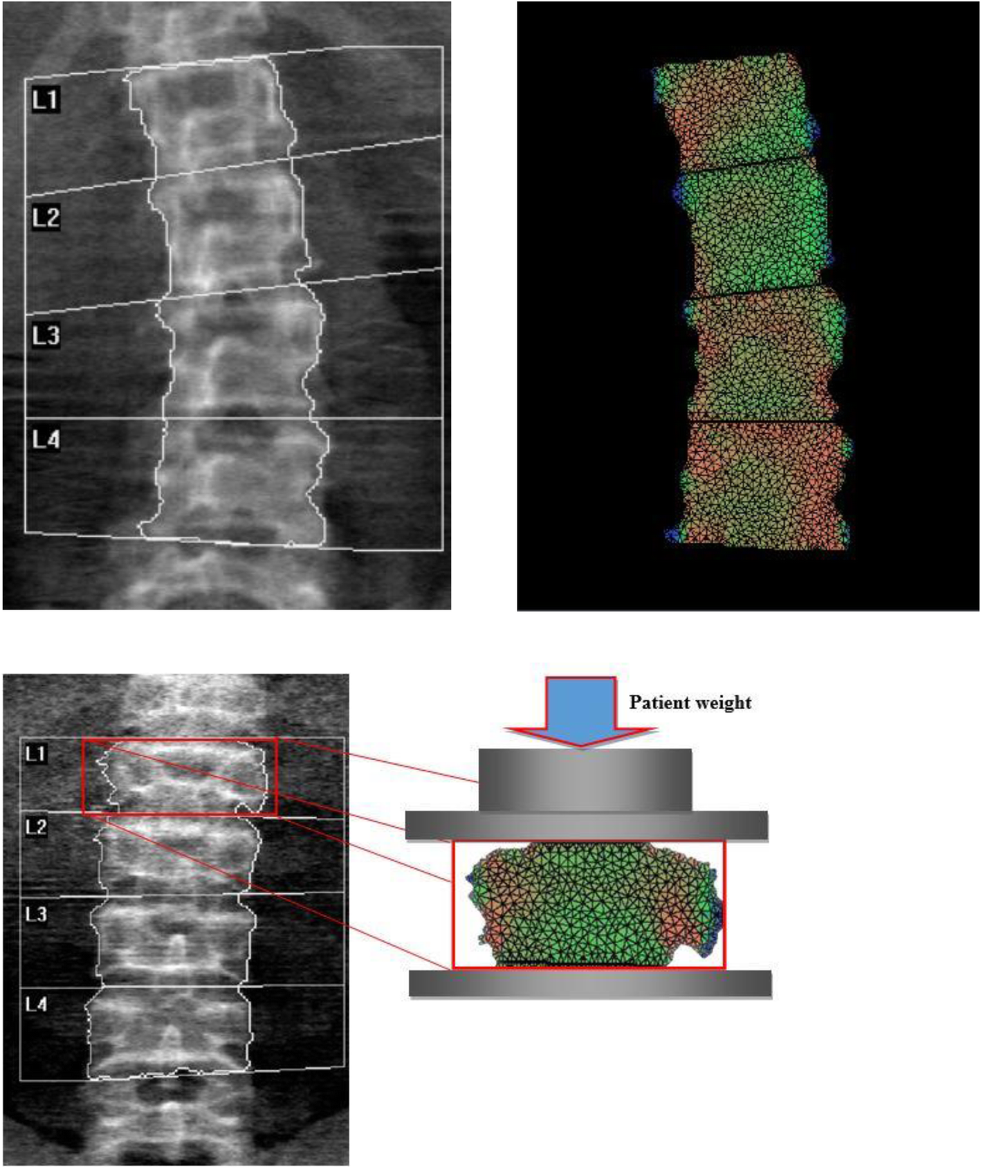 Fig. 1