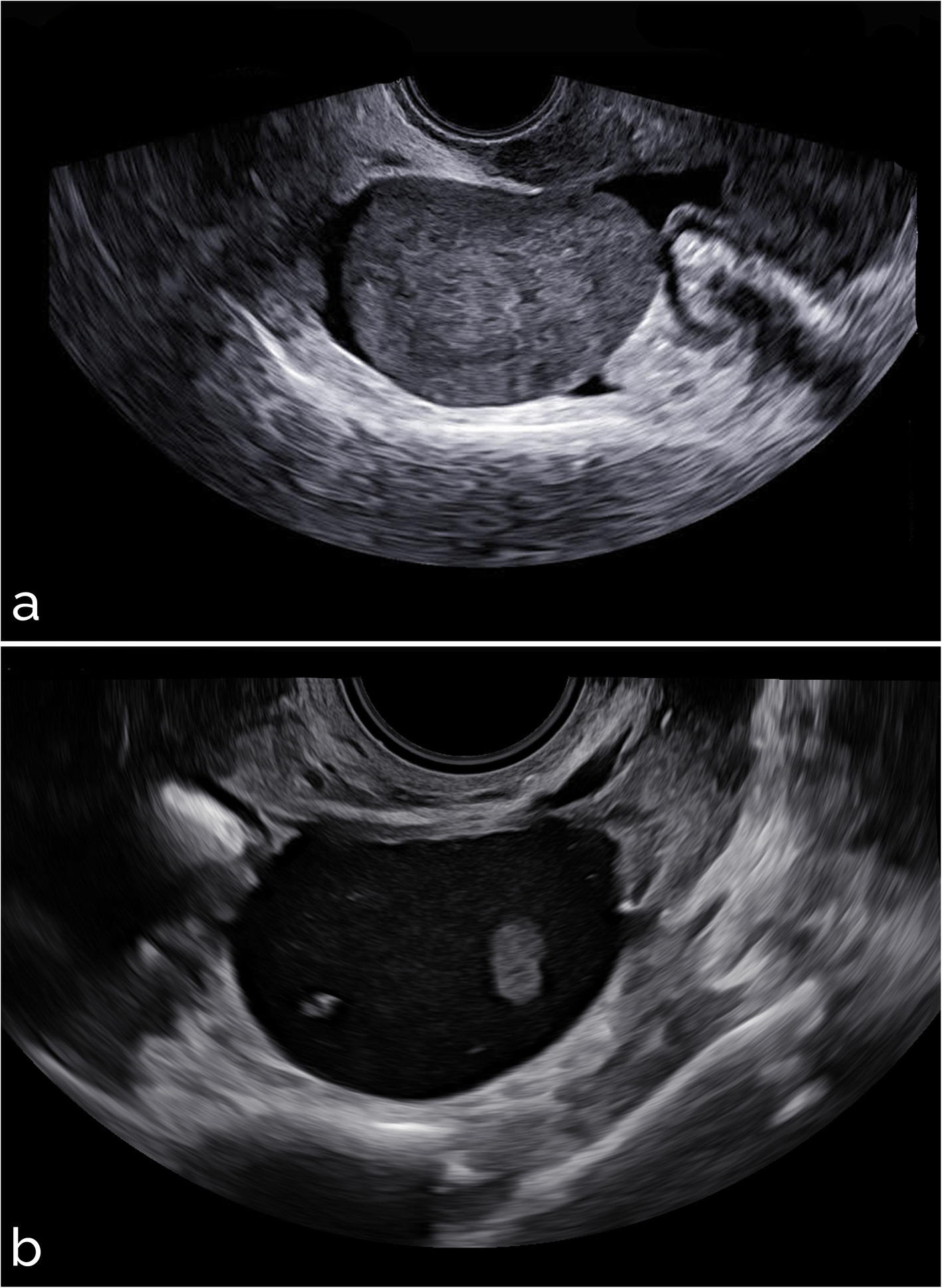 Fig. 6