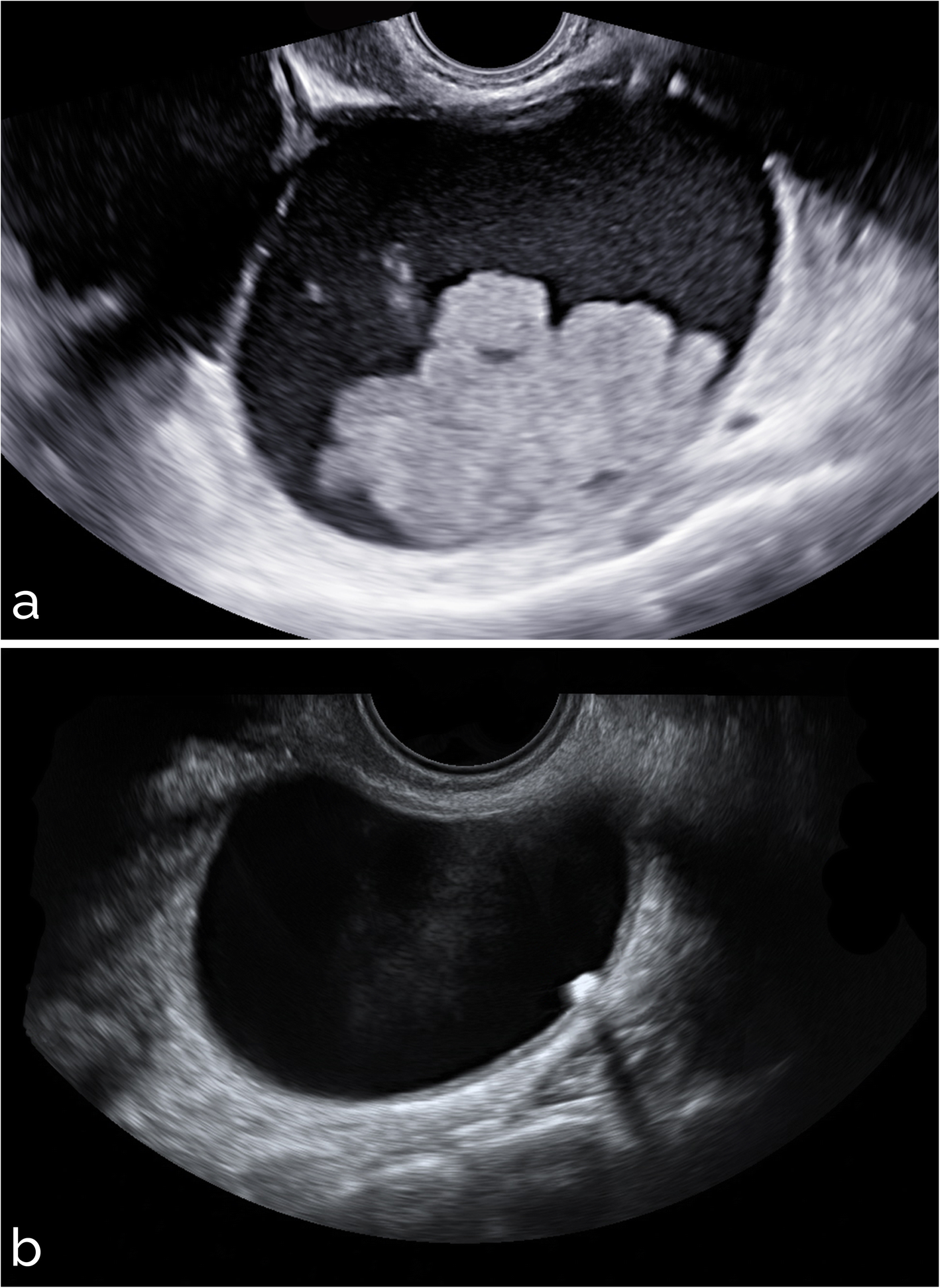 Fig. 9