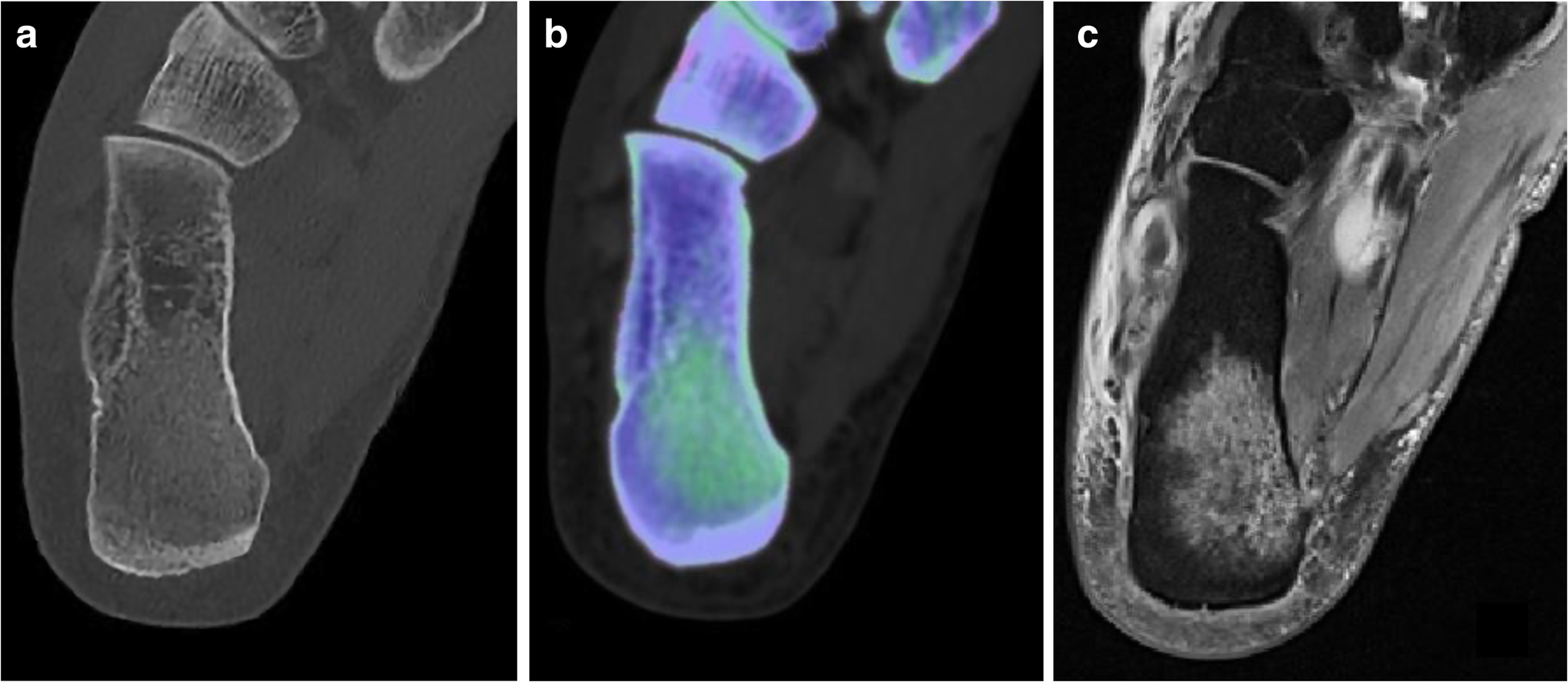 Fig. 5