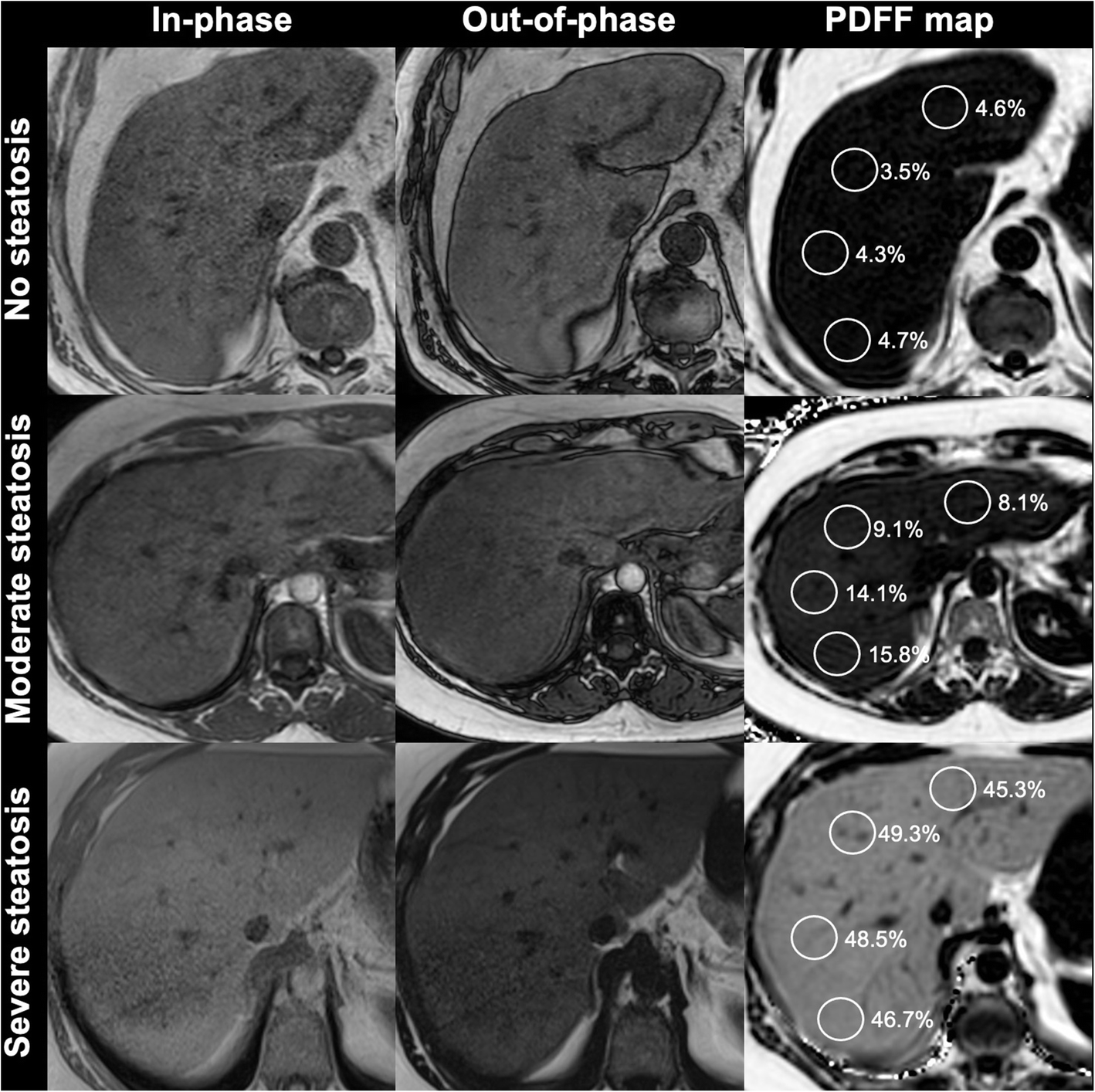 Fig. 9