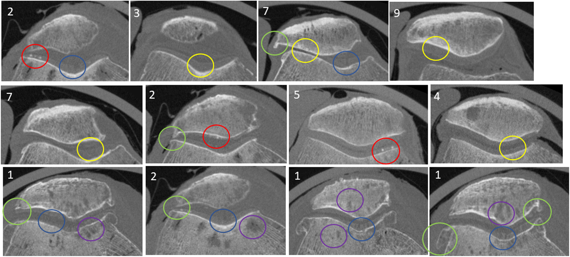 Fig. 4