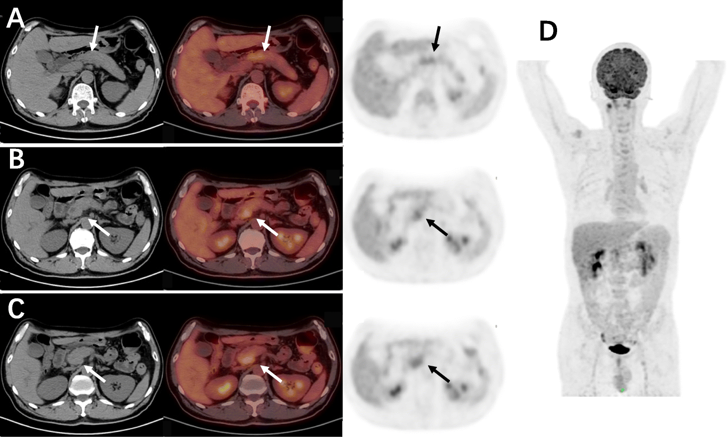 Fig. 5