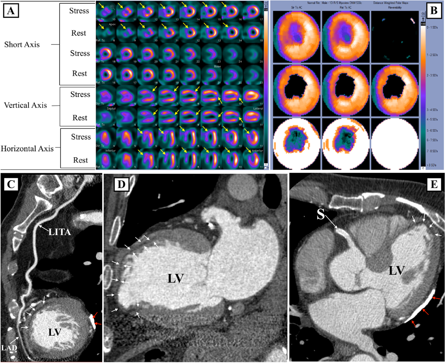 Fig. 4