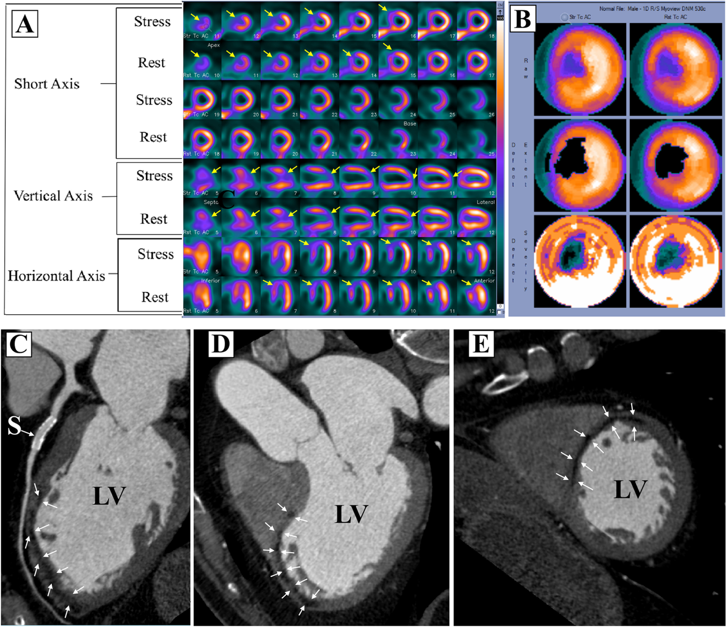 Fig. 5