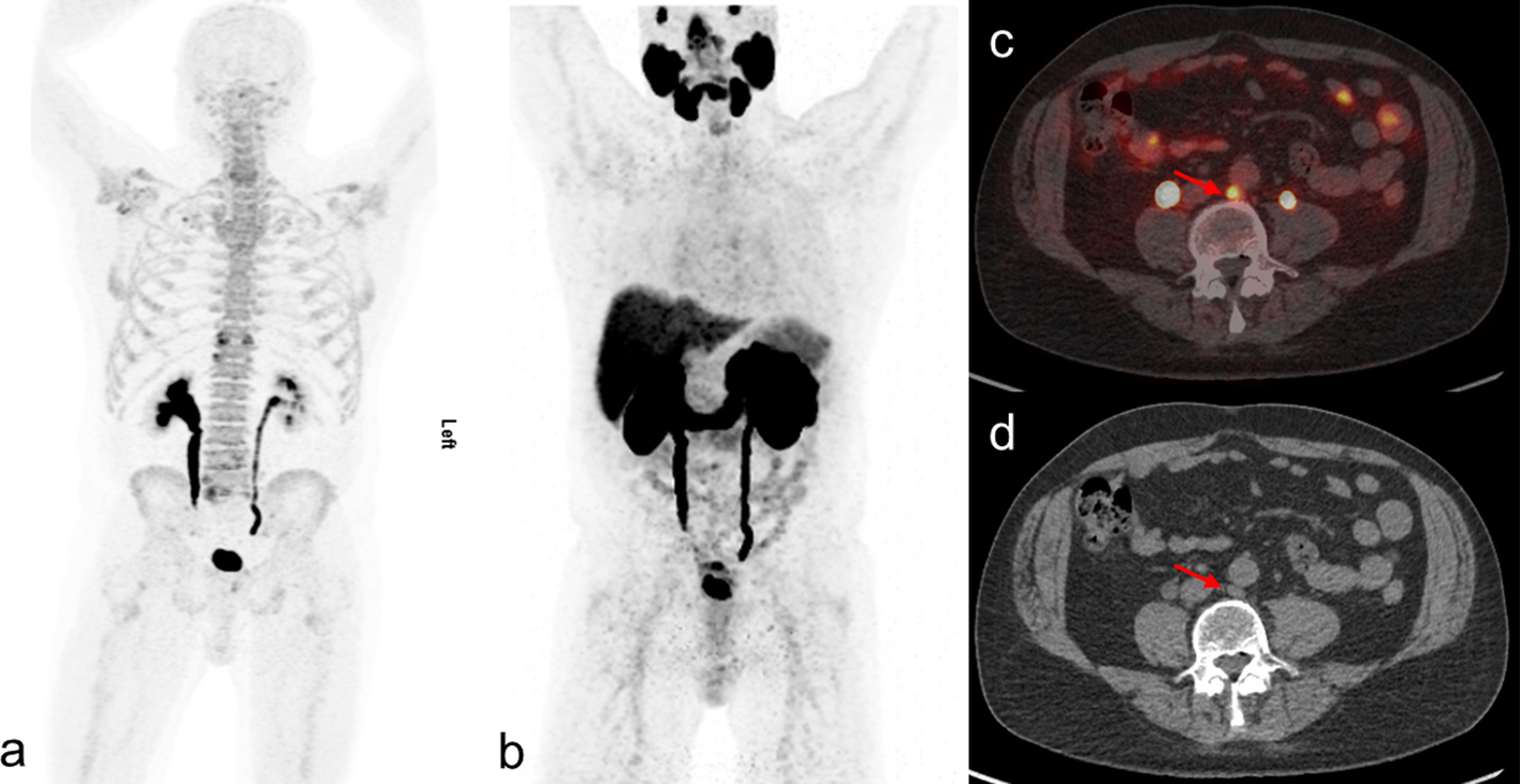 Fig. 5