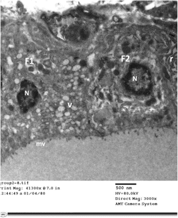 Fig. 7