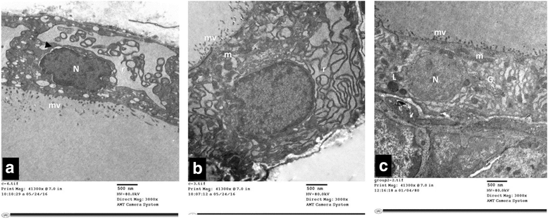 Fig. 8