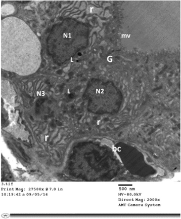 Fig. 9