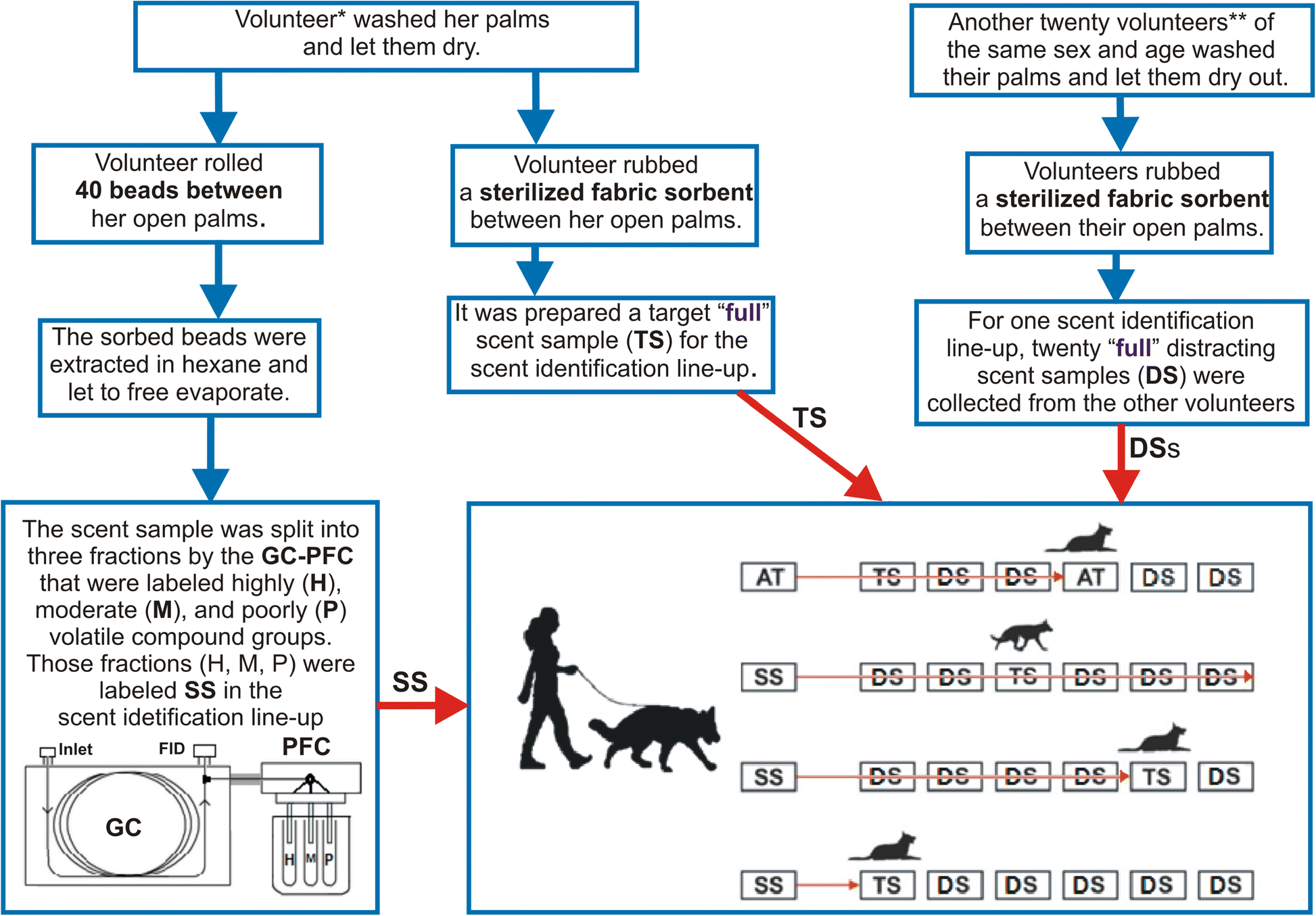 Multiplicity of human scent signature | Egyptian Journal of Forensic  Sciences | Full Text