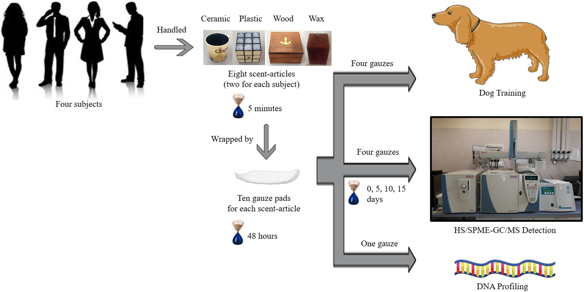 Fig. 1