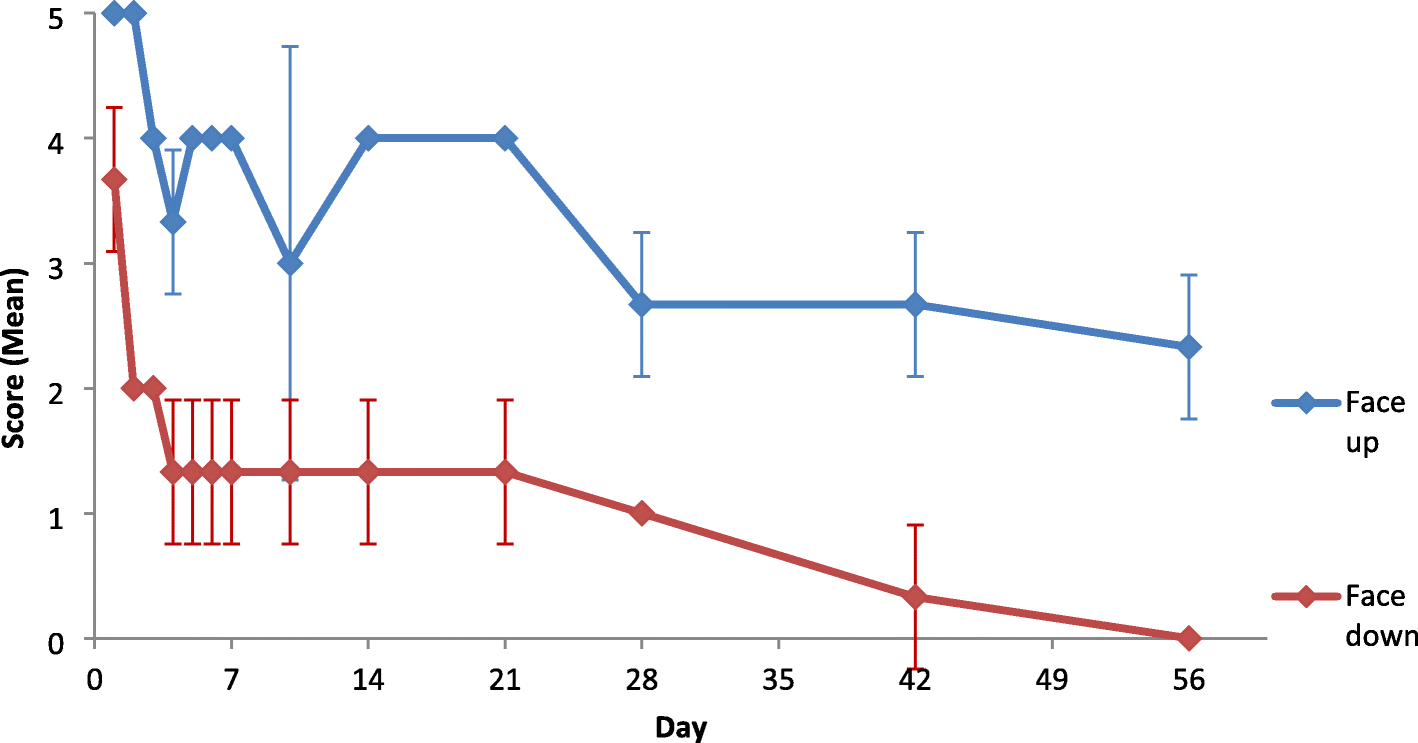 Fig. 17