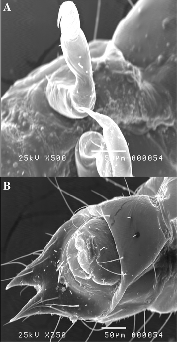 Fig. 9