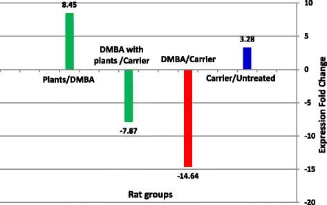 Fig. 10