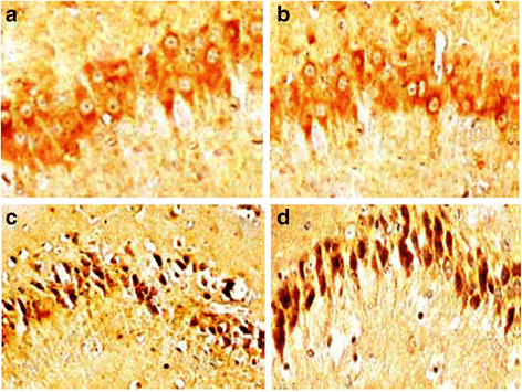 Fig. 13