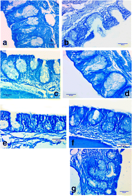 Fig. 15