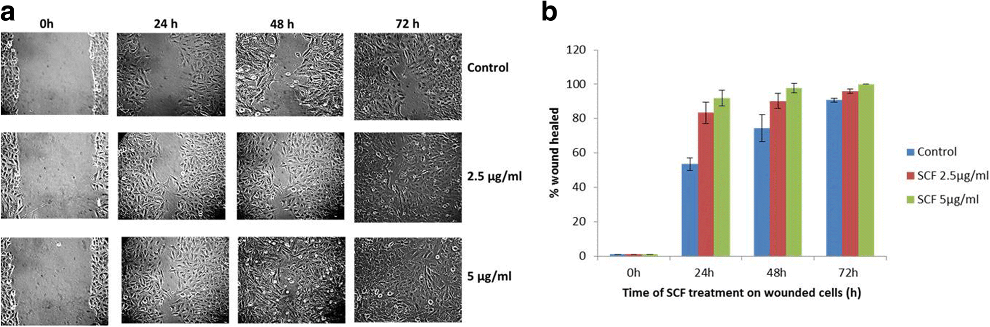 Fig. 12