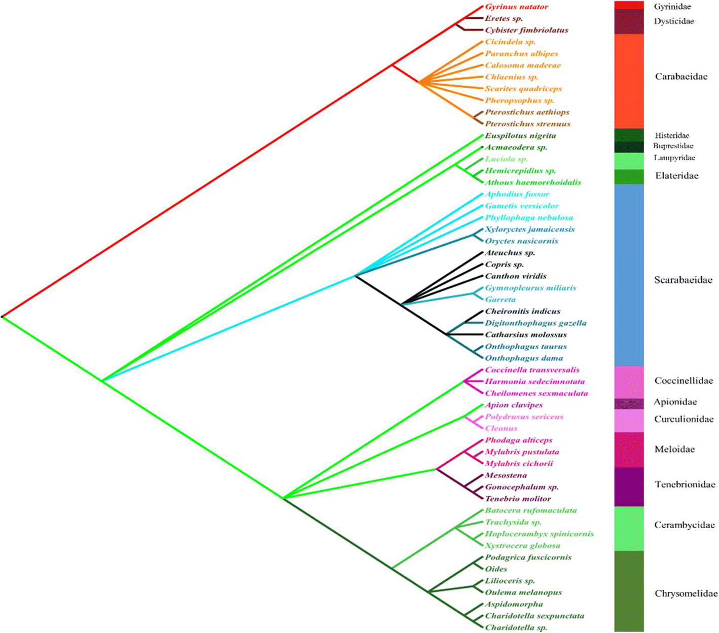 Fig. 7