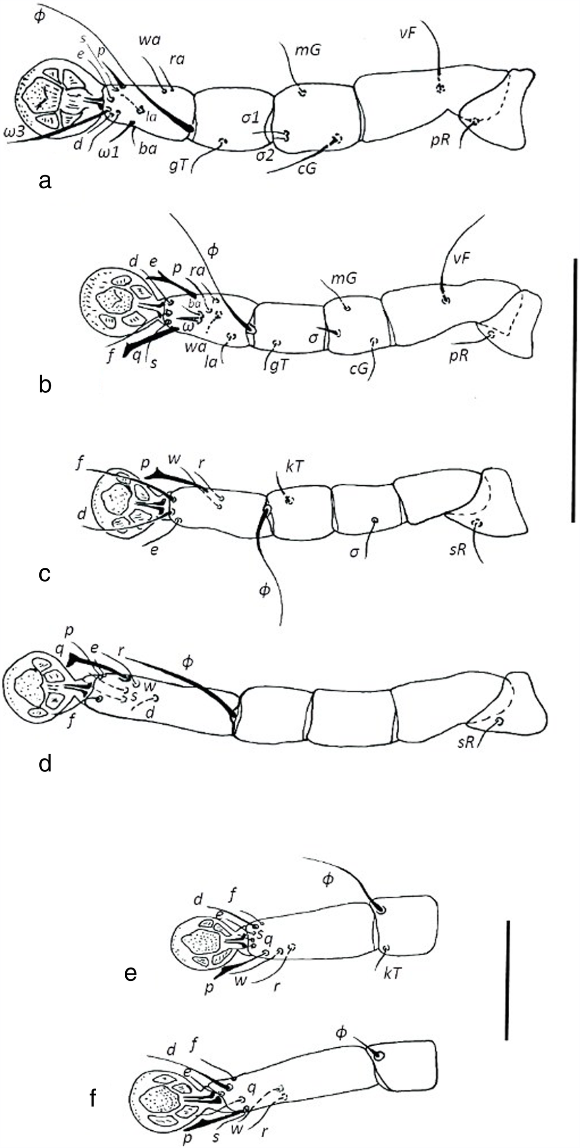 Fig. 5