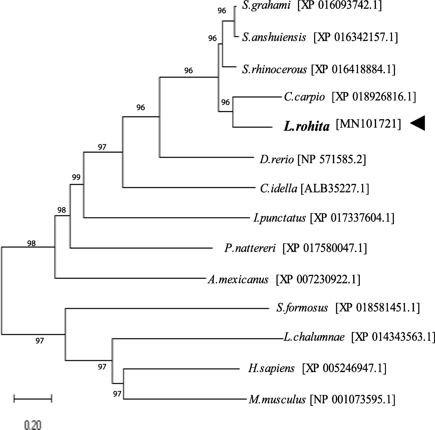 Fig. 4