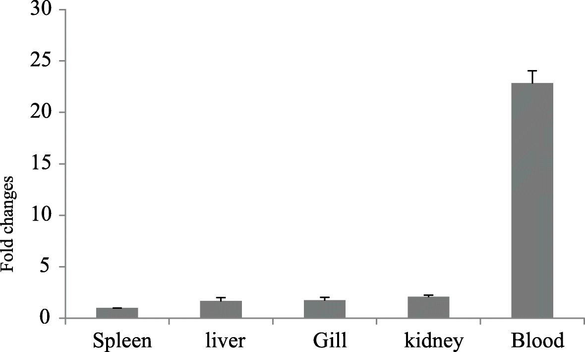 Fig. 5