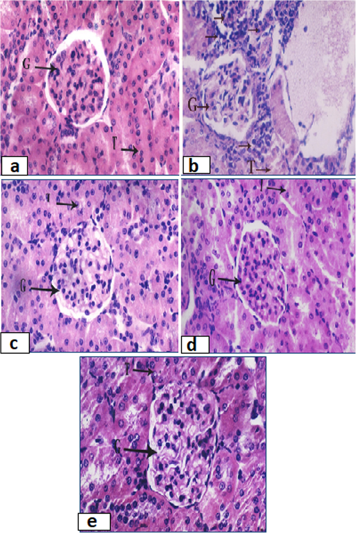 Fig. 5