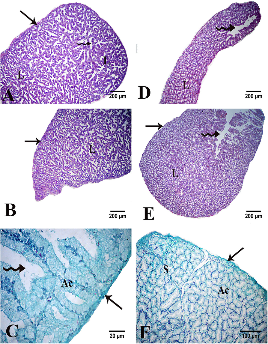 Fig. 8