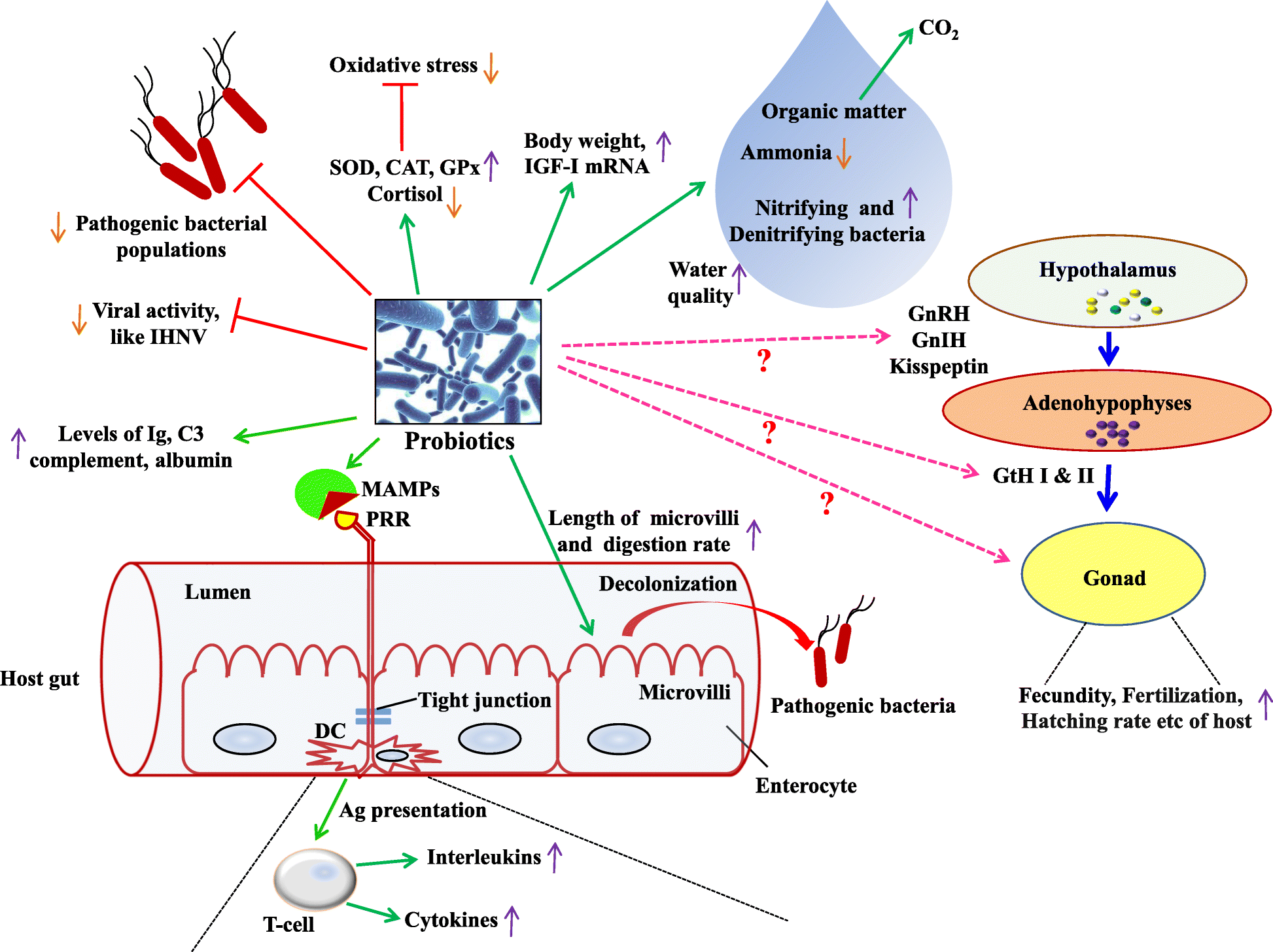 Fig. 2