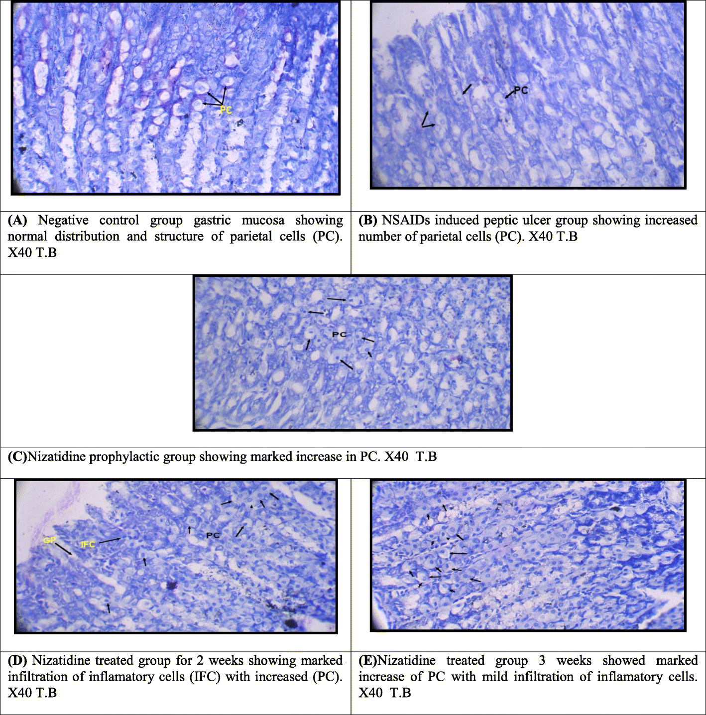 Fig. 5