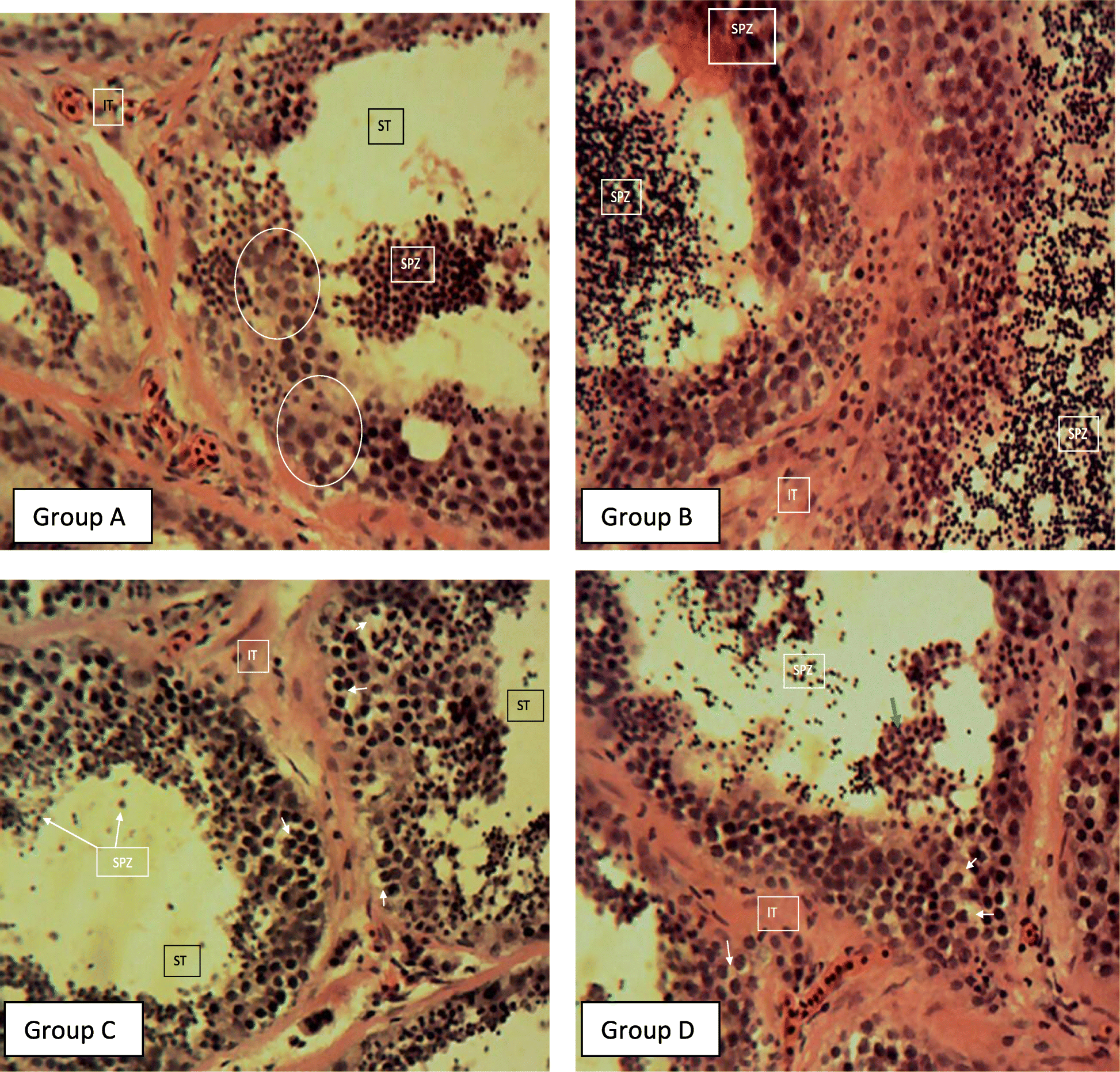 Fig. 4