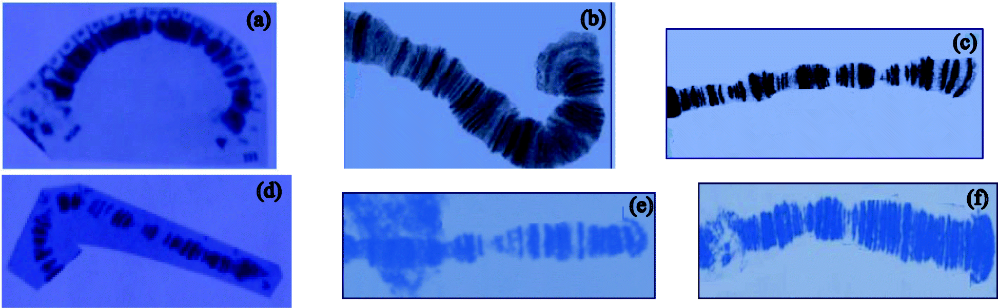 Fig. 2