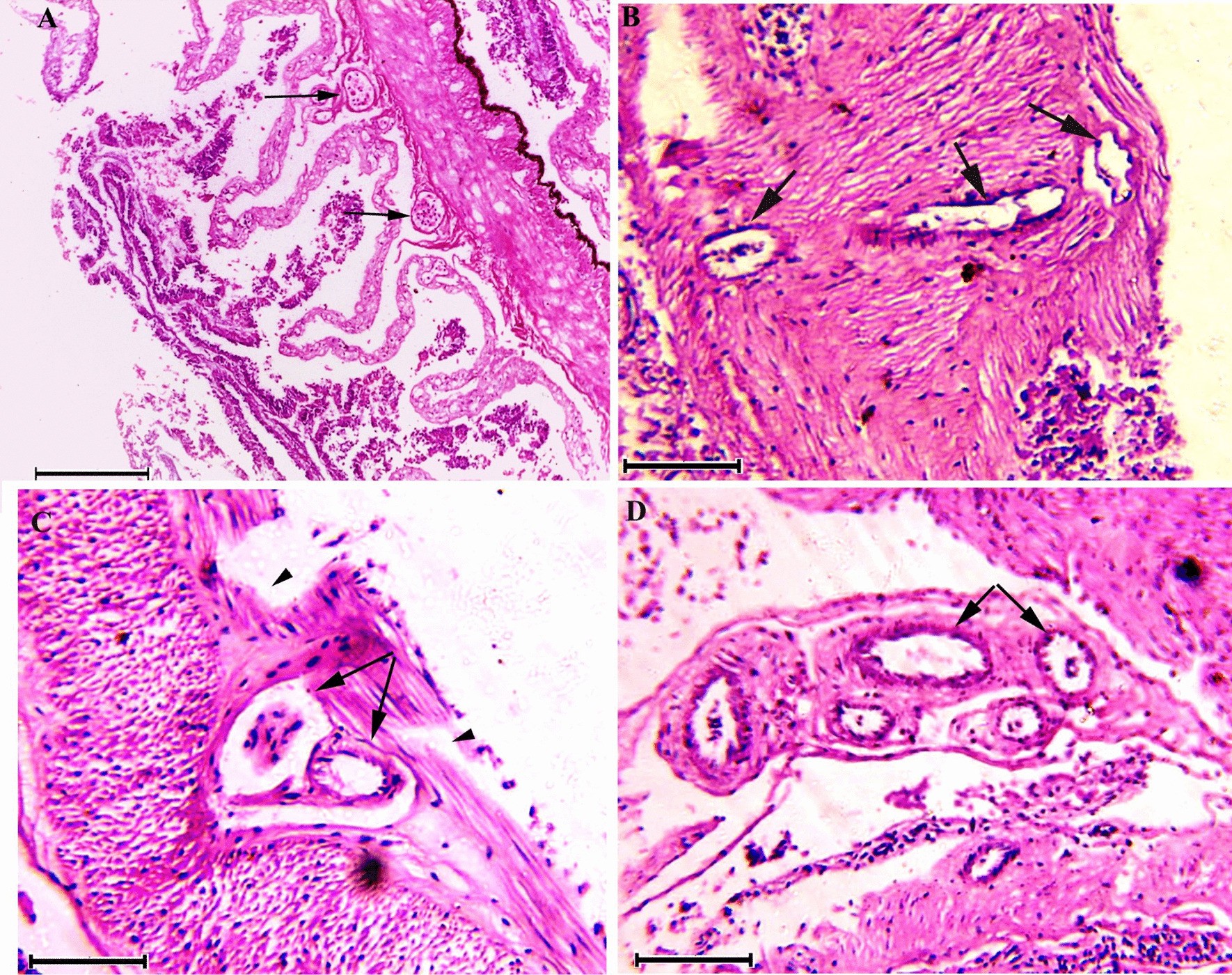 Fig. 2