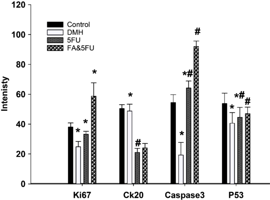 Fig. 8