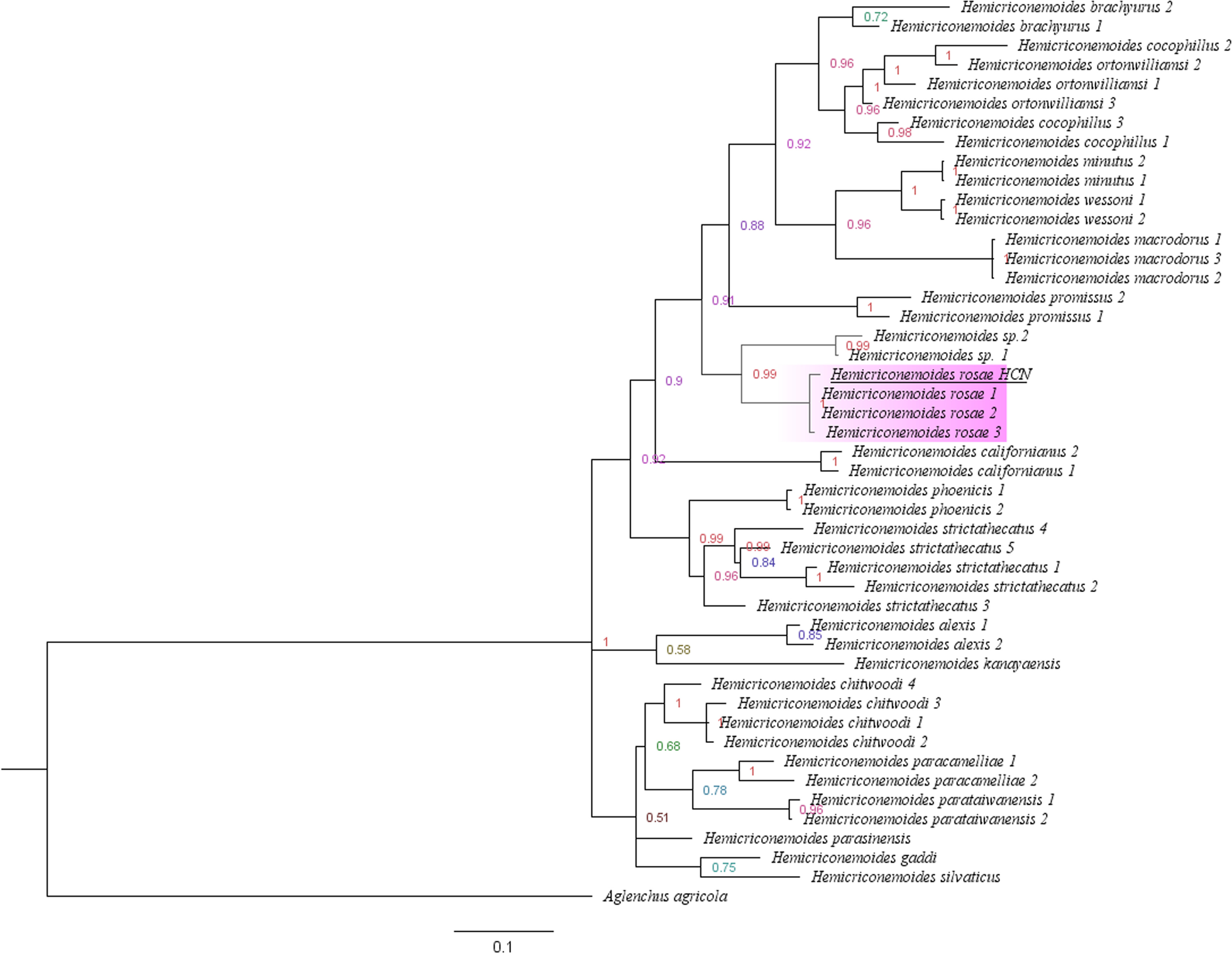 Fig. 4