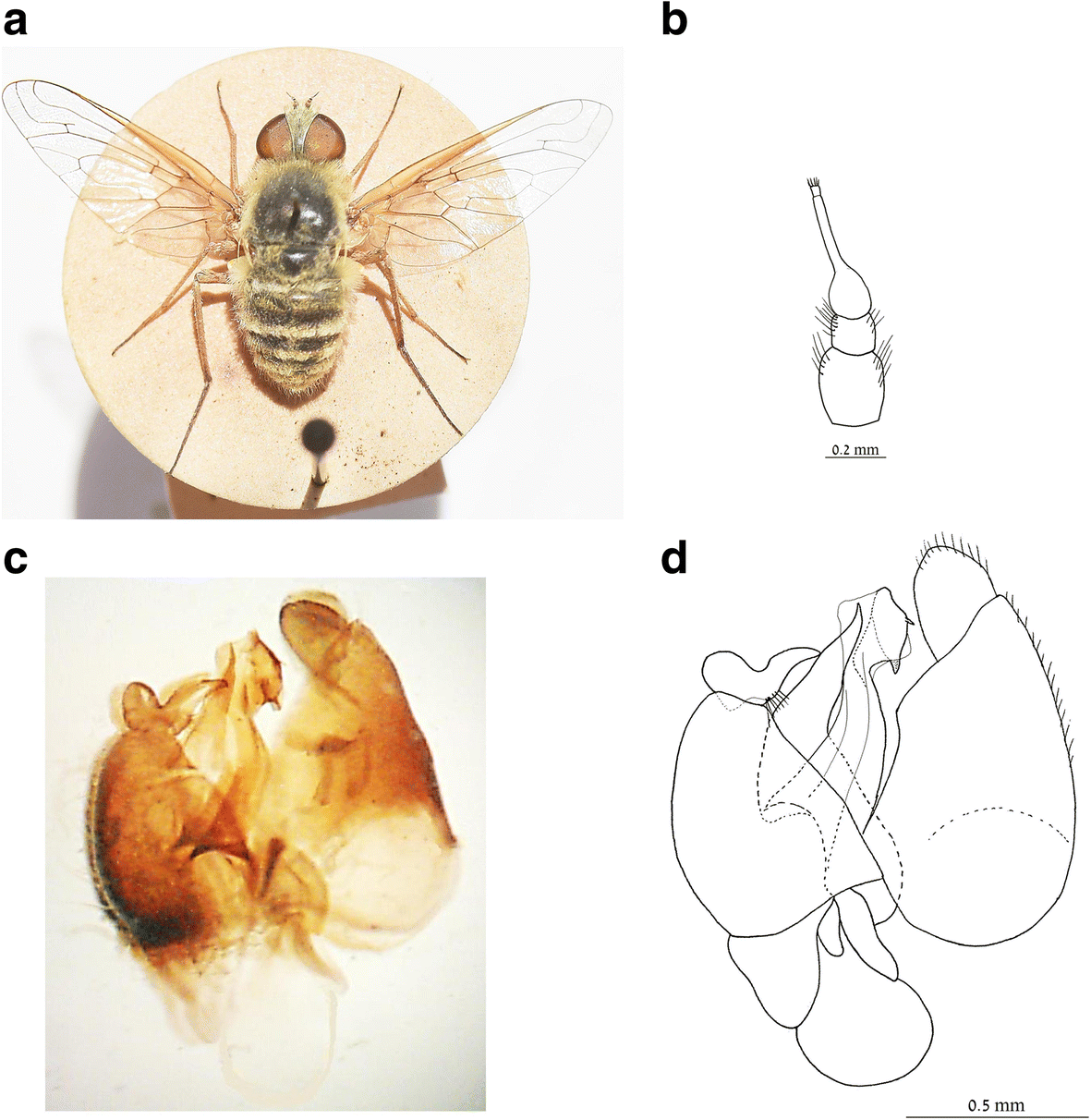 Fig. 2