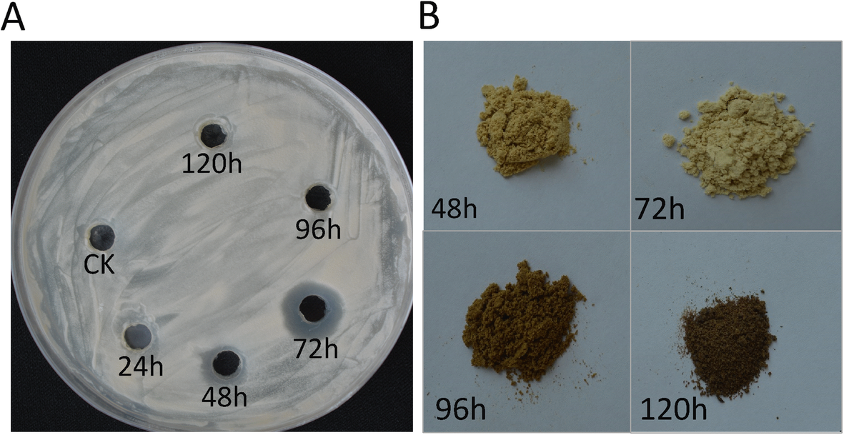 Fig. 7