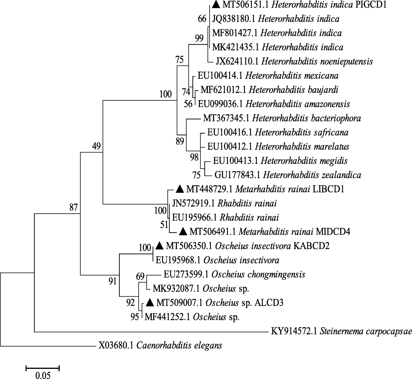 Fig. 2