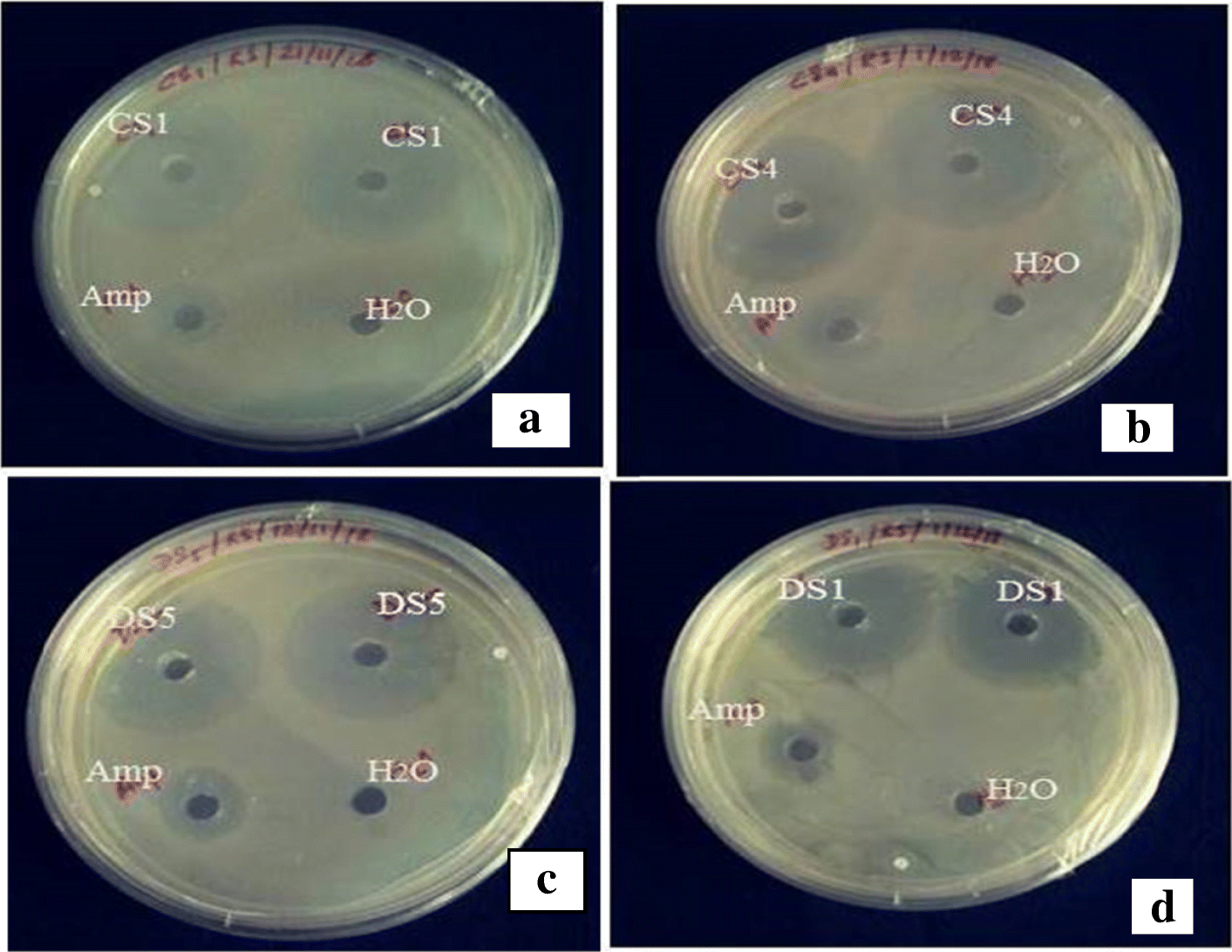 Fig. 2