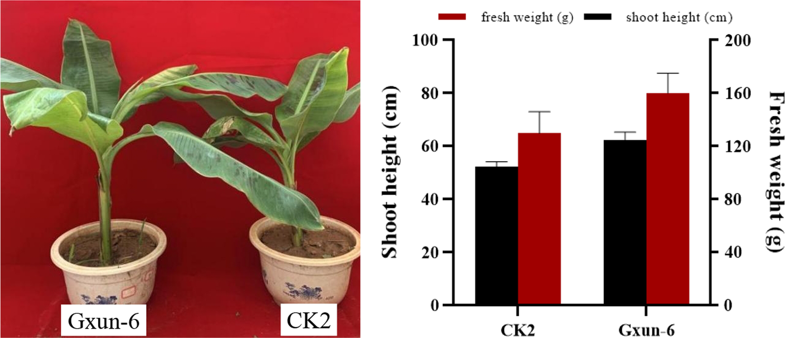 Fig. 7