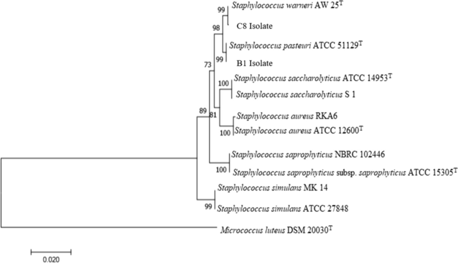 Fig. 11