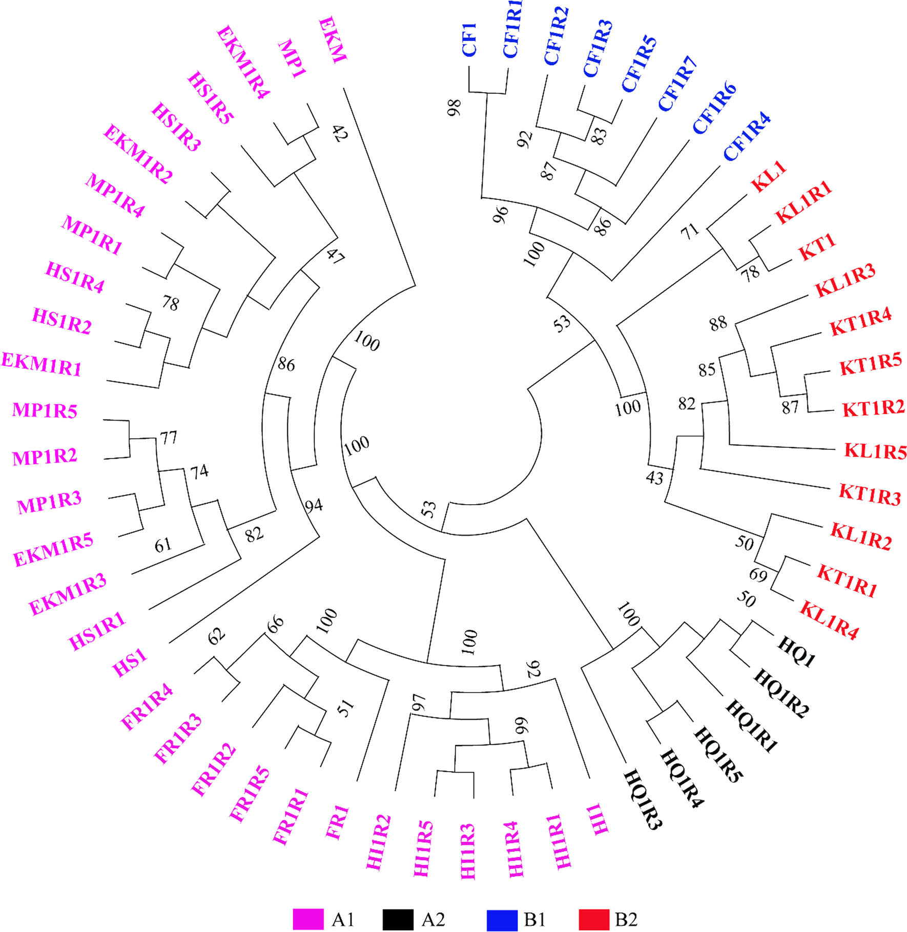 Fig. 3