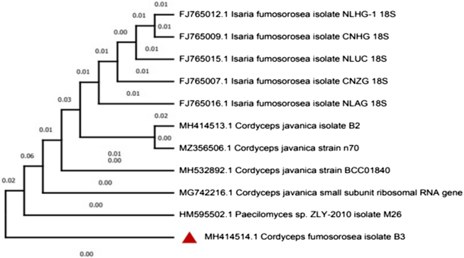 Fig. 3