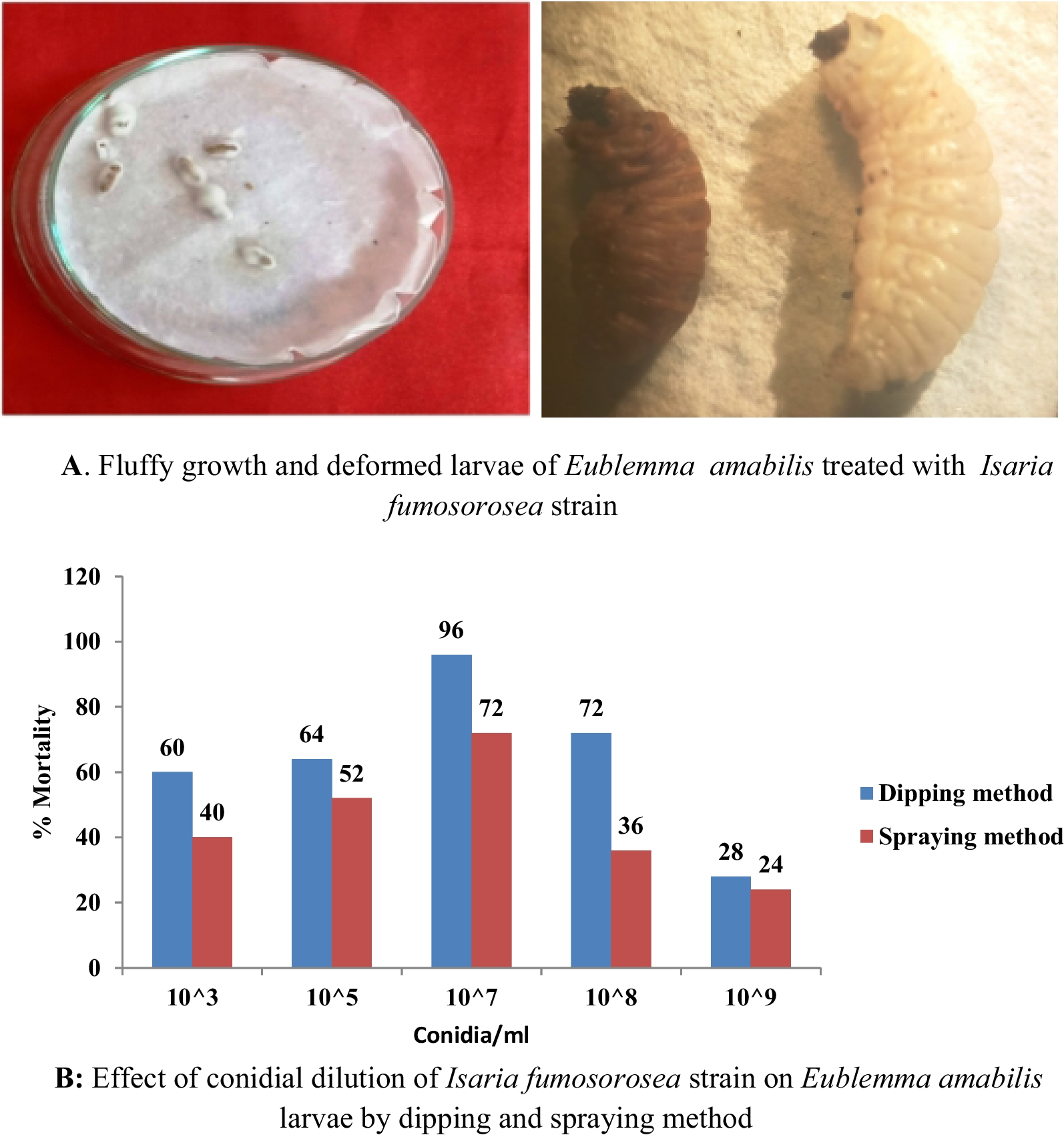 Fig. 6