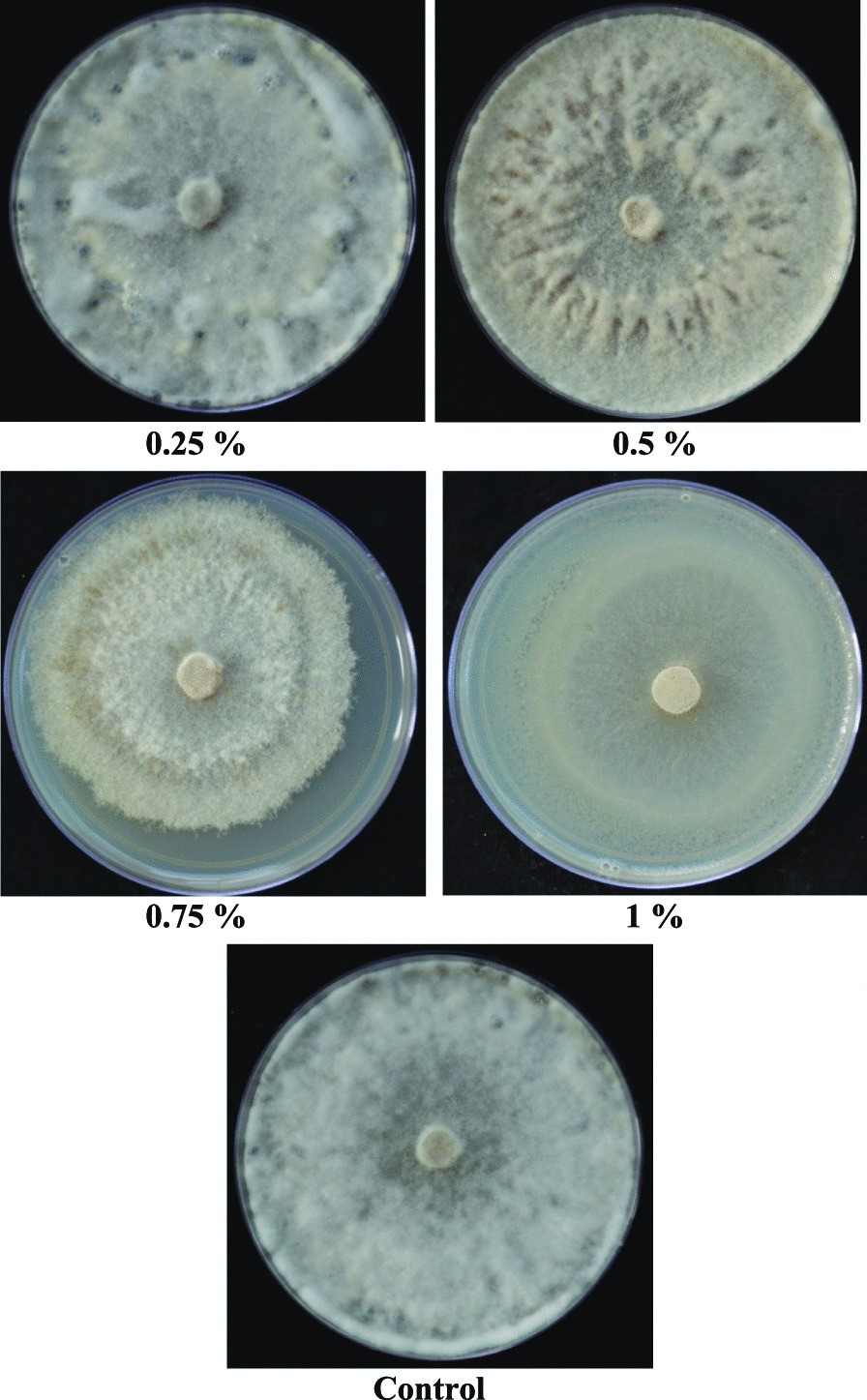 Fig. 14