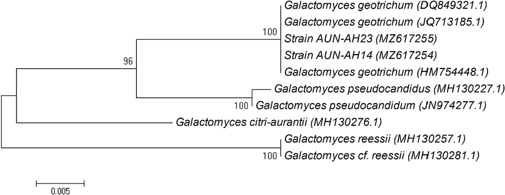 Fig.1 