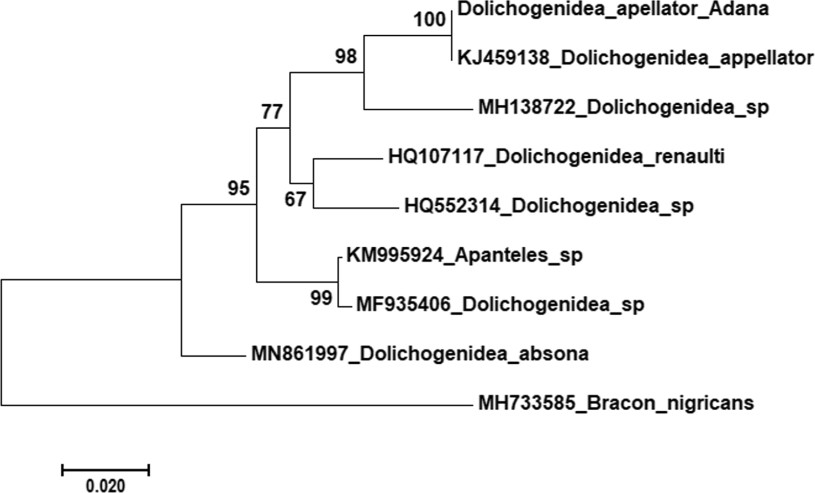 Fig. 2