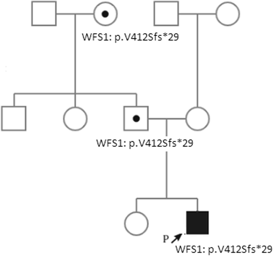 Fig. 1