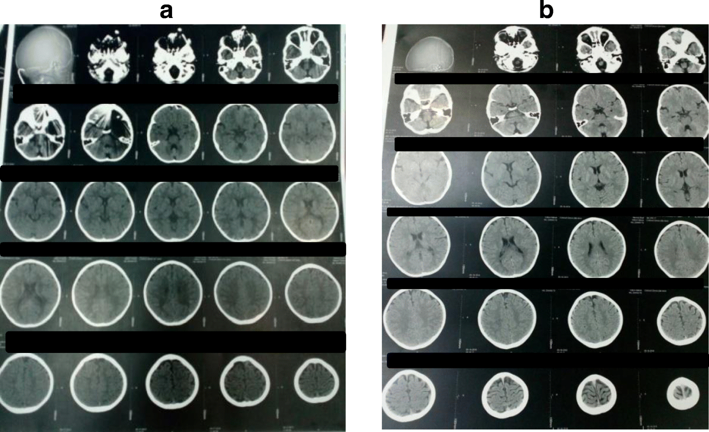 Fig. 8