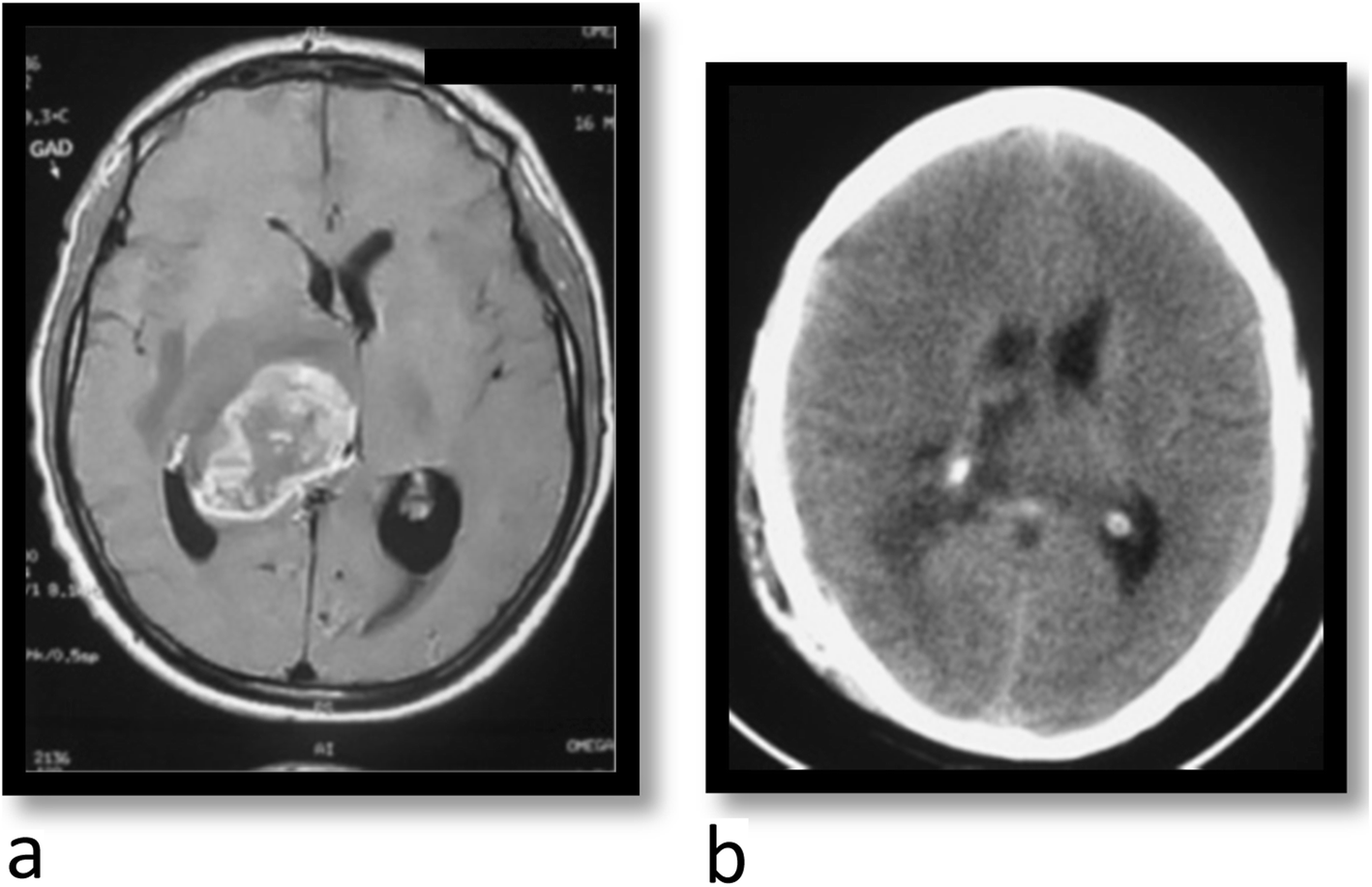 Fig. 8